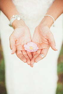 世界上最暖心的五句话 世界上最暖心的一句话是什么?