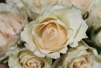 分手后应该如何发朋友圈 分手后怎么发朋友圈?