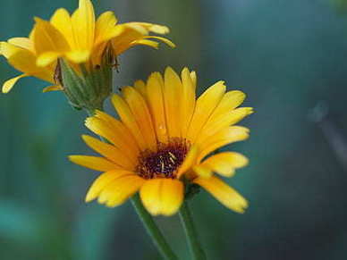 早安小情话文案暖人心给女生 跟女朋友说早安的情话文案暖心话