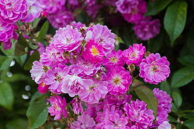 陪伴的暖心句子文案 关于陪伴父母的暖心的句子文案