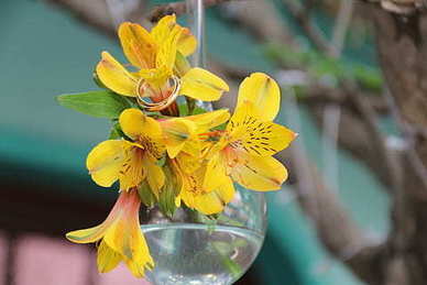 对女朋友说浪漫的情话文案 你对女朋友说过哪些浪漫到骨子里的情话文案？