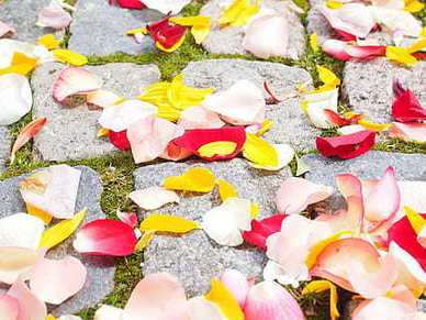 成熟女人的晚安说说 女人成熟经典的句子文案说说心情