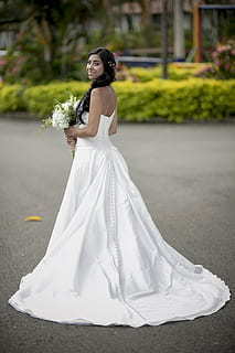 七夕节一句简语的话 七夕节祝福语句文案简短有哪些？