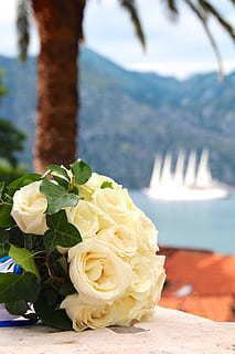 叫人起床比较撩人的话 一百句叫人起床的话