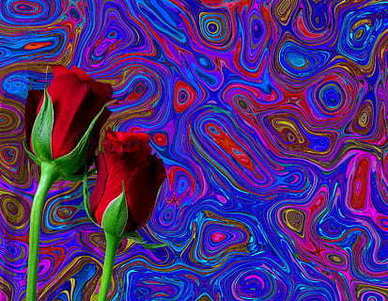 文学家爱情短句 当代文学作品中爱情经典句子文案