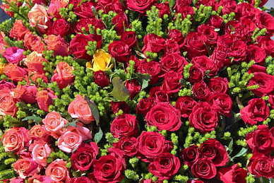 晒老公照片搞笑的说说文案 晒老公的说说文案怎么写 晒跟老公拍的照片说说文案