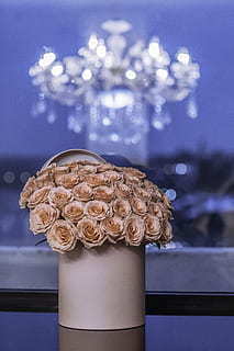 婚姻语录女人心声 婚姻感悟句子文案说说心情