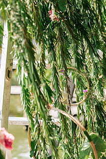 周末暖心简短祝福短信 周末简短祝福语唯美十个字