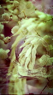 日本暖心名人名言 日本著名作家名人名言