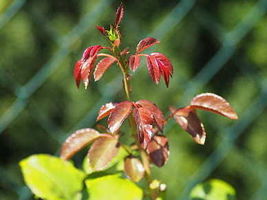 适合分手时候说的话 分手时候应该说的话
