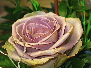 关于细节的情感语录 关于生活情感细节的句子文案