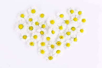 美句简短优美句子文案爱情 简短爱情美句