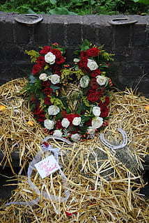 十年婚姻走到尽头句子文案 十年婚姻走到尽头的感慨