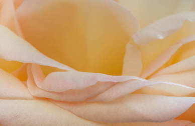 吃货的可爱文案 有趣的美食文案句子