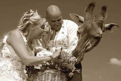 表达对爱豆喜欢的短句 表白爱豆的句子文案