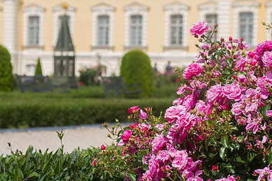 鼓励暖心鸡汤短句 励志鸡汤语录文案短句
