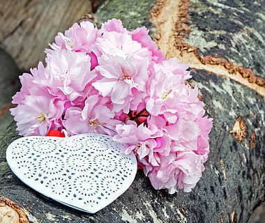 形容自己结婚纪念日的句子文案 致自己结婚纪念日的短句有什么?