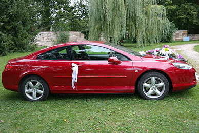 给喜欢的人早安情话文案 情侣早安情话文案最暖心短句