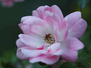 想念的句子文案唯美短句 思念爱人的句子文案唯美