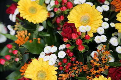 想念一个人的短语 思念一个人的心情短语