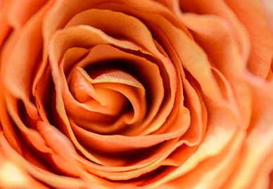 温柔到极致的句子文案 温柔至极的句子文案