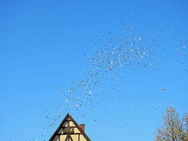 治愈系暖心英文句子文案