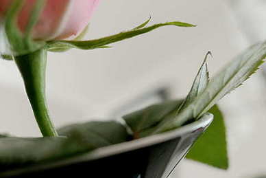 qq签名爱情浪漫古风 情侣个性签名 古风