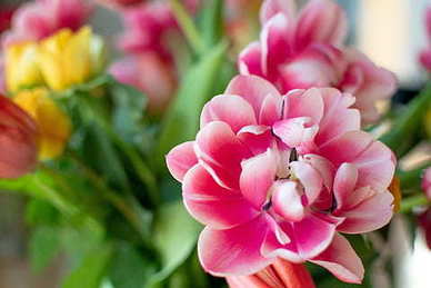 六个字的情话文案 六个字组成的一句浪漫情话文案有哪些?