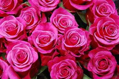 给爱人早安的心语图片 给爱人的早安短语我想你了