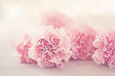 让人心酸的感情的句子文案 你读过的最让人心酸的句子文案有哪些?