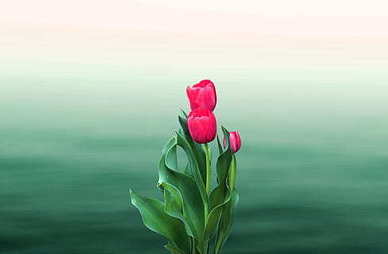 关于爱情的句子文案伤感英文长句