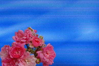 简短的情话文案十个字以内 简短的高级情话文案10个字