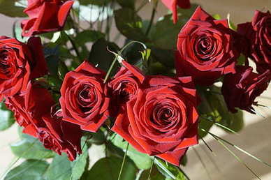 两个真正相爱人的说说文案 两个人相爱的说说文案短句