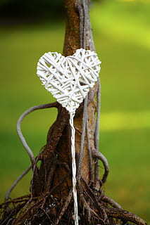 唯美的古风告白句子文案 表白的古风句子文案