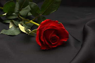 爱情说说文案幸福暖心长句 情话最暖心长句