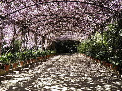 把女孩子撩湿的情话 一句话就把妹子聊湿的句子文案