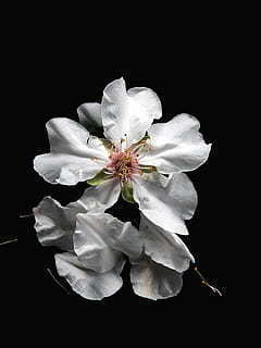 看淡感情的句子文案霸气 看淡人生的句子文案霸气有哪些？