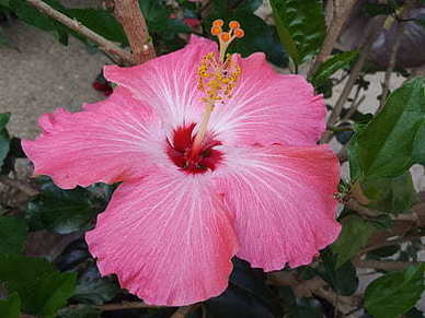 内涵气质女人语句 形容气质女人句子文案