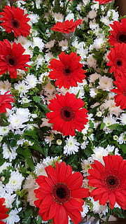 写给男朋友生日的煽情的话 写给男朋友生日的暖心句子文案