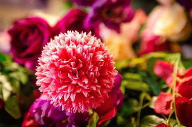 女人霸气的句子文案致自己短句 女人霸气的句子文案致自己