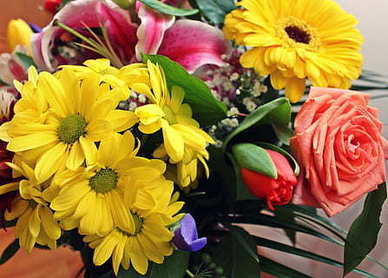 情感语录文案免费素材 情感语录文案经典