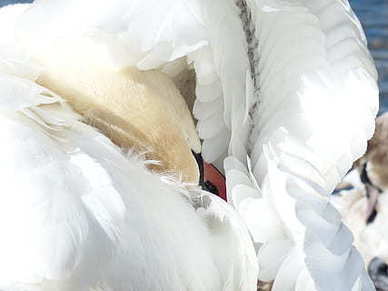 朋友圈图片配图情侣