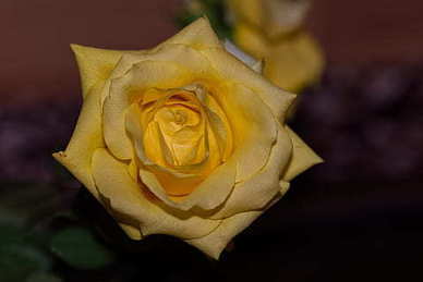 家庭幸福句子文案短句 家庭幸福的句子文案简短