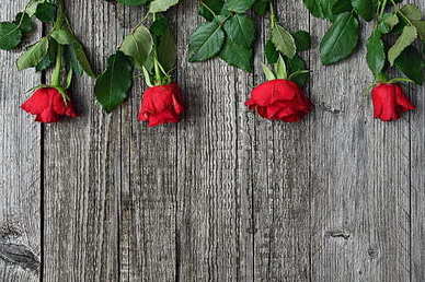 表示思念的诗句文案 表示思念的诗句文案，都有哪些？