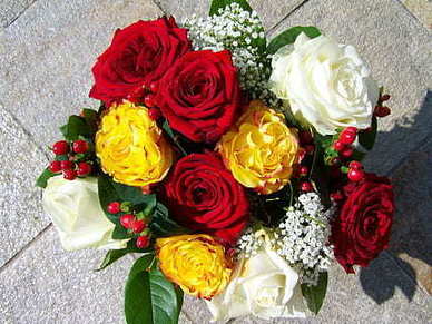 女人的快乐短句 女人要开心的句子文案