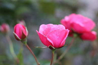 文案短句干净爱情 感情文案短句干净治愈