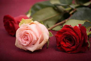 喜欢一个人好几年的句子文案