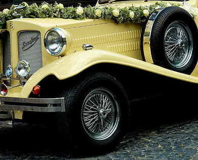 女人对花的热爱的句子文案 热爱花草热爱生活的优美句子文案