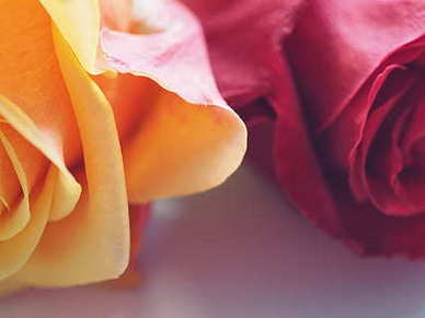 让人看了特心疼的说说文案 让男人看了心疼的说说文案