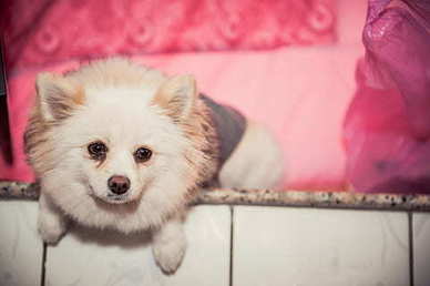 三角恋的搞笑句子文案